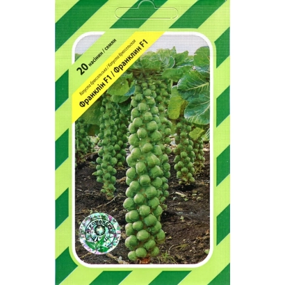 Семена капусты Франклин F1 на зеленом фоне с изображением кочанов