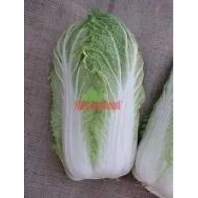 Свежая капуста Гилтон на деревянной поверхности