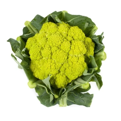 Свежая капуста Гильверде с зелеными листьями на белом фоне