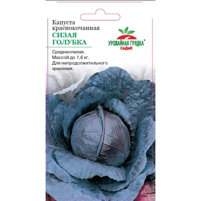 Пакет семян капусты Голубка с изображением цветка