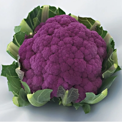 Свежая фиолетовая капуста на белом фоне - ГРАФФИТИ