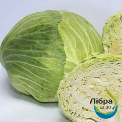 Свежая капуста с логотипом Лібра агро - Грин Стар