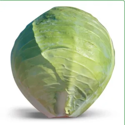 Свежая капуста Хитоми F1
