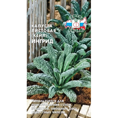 Насіння капусти листкової Інгрід на упаковці