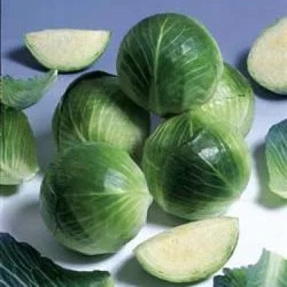 Свежая капуста Кандела F1