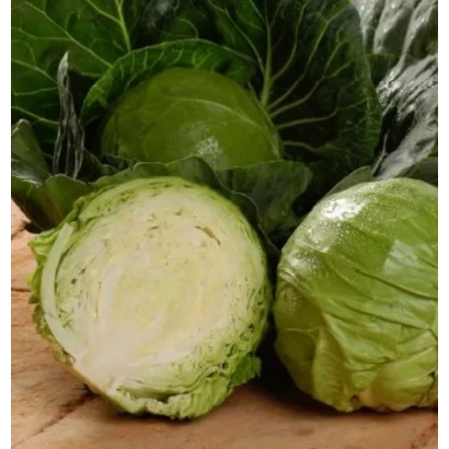 Свежая капуста с разрезанным кочаном на деревянной доске - КАНДИСА F1
