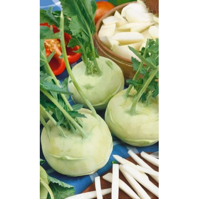 Свіжа капуста кольрабі на синьому фоні з овочами - Картаго