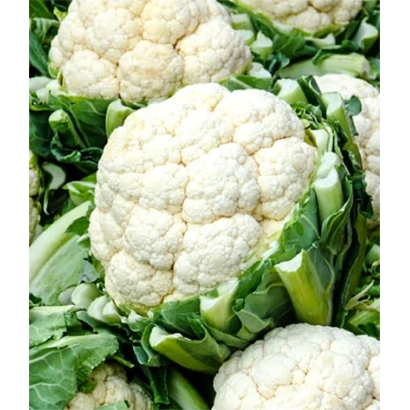 Ближний план белокочанной капусты без видимой маркировки - Кердос F1