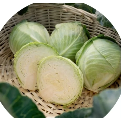 Свежая капуста в плетёной корзине - КИЛАЦИС
