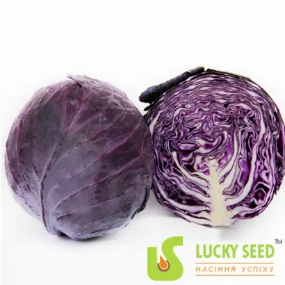 Красная капуста Lucky Seed - Корнет
