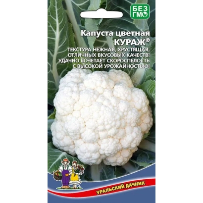 Насіння капусти кольорової КУРАЖ на фоні листя