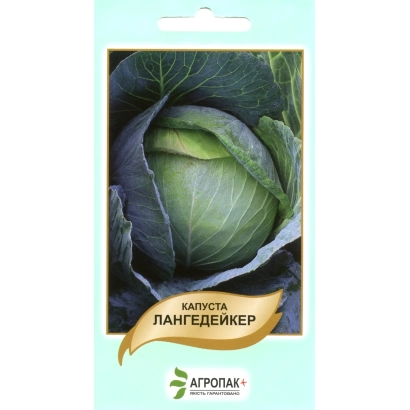 Насіння капусти Лангедейкер на упаковці