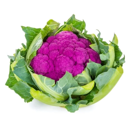 Свежая фиолетовая капуста на белом фоне - Лавендер