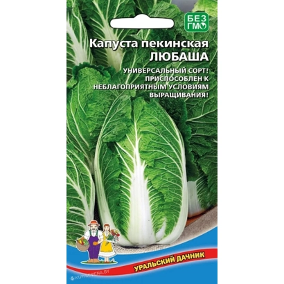 Пакет семян капусты Любаша с изображением листьев