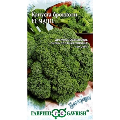 Семена брокколи МАЧО на фоне брокколи