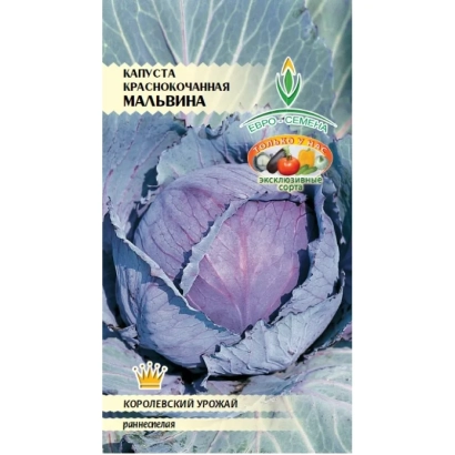 Семена капусты Мальвина на упаковке