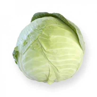 Свежая капуста на белом фоне - МАРЧЕЛЛО