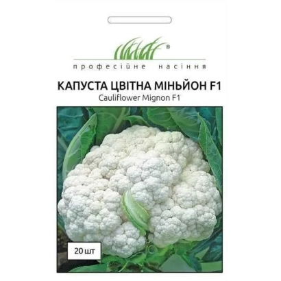 Семена капусты цветной Миньон F1 - Миньйон F1