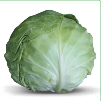 Свежая капуста Мисато F1