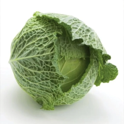 Свежая капуста Морама F1 на белом фоне