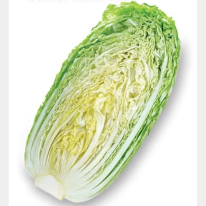 Fresh NATSUKI cabbage