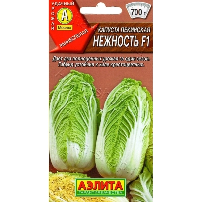 Seed packet of cabbage Gentleness F1