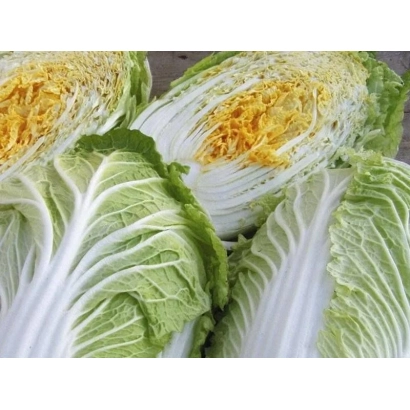 Fresh cabbage with yellowish leaves - ORANGE HEART