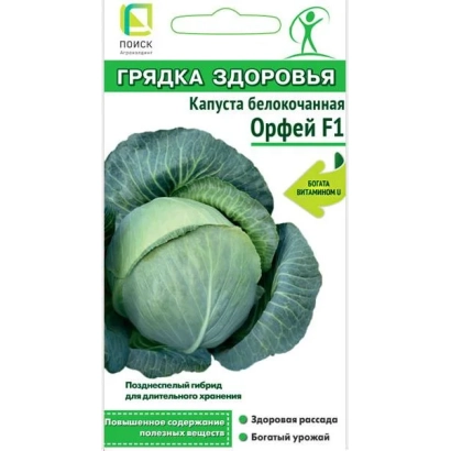 Семена капусты белокочанной сорта Орфей F1 в упаковке Грядка Здоровья