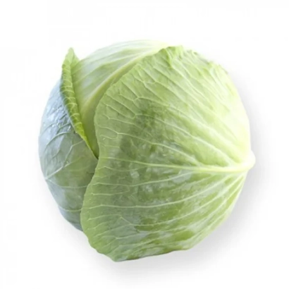Свежая капуста на белом фоне - ОРИЕМА