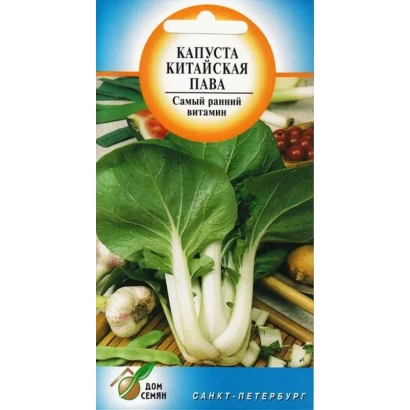 Seed packet of Chinese cabbage PAVA with image of fresh leaves and vegetables