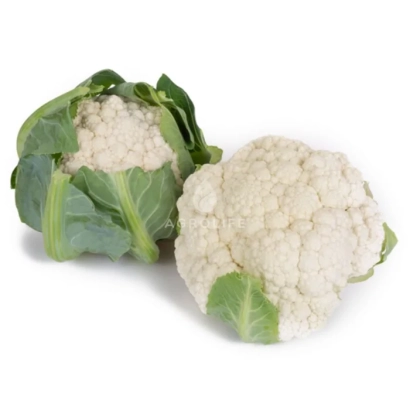 Две головки цветной капусты на белом фоне - Пакстон