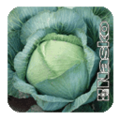 Капуста Перлина F1 на упаковке - Перлына F1