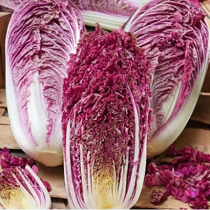 Свежая капуста РЭД КУК с фиолетовыми листьями