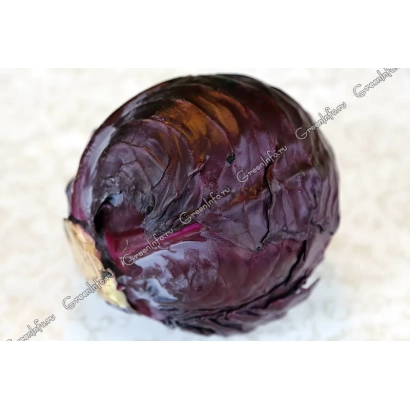 Свіжа червона капуста Ронні