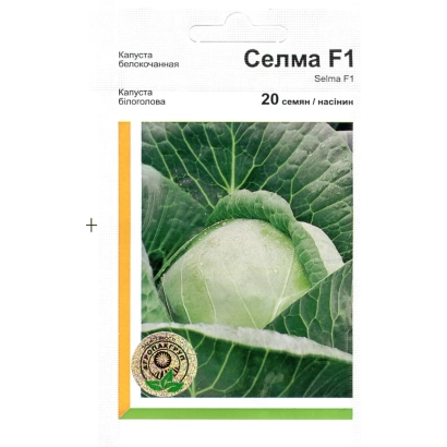 Пакет семян капусты Селма F1