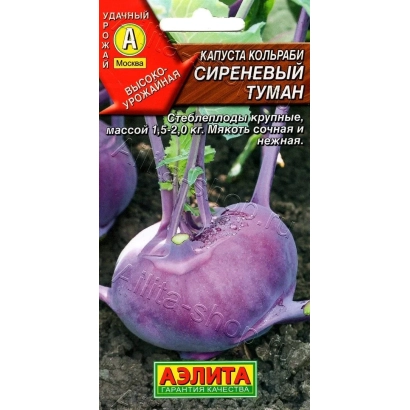 Seed packet of cabbage variety Lilac Fog