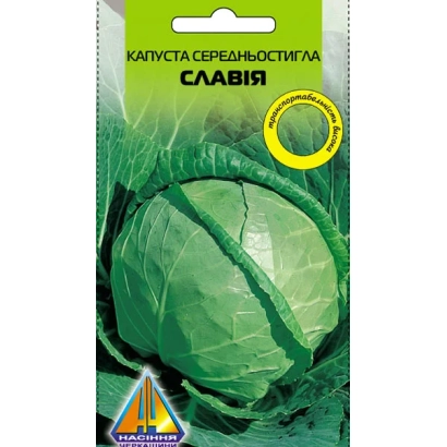 Пакет семян капусты Славия