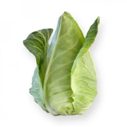 Свежая капуста на белом фоне - Сонсма