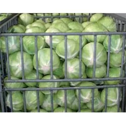 Корзина с капустой - Сторэма РЦ F1