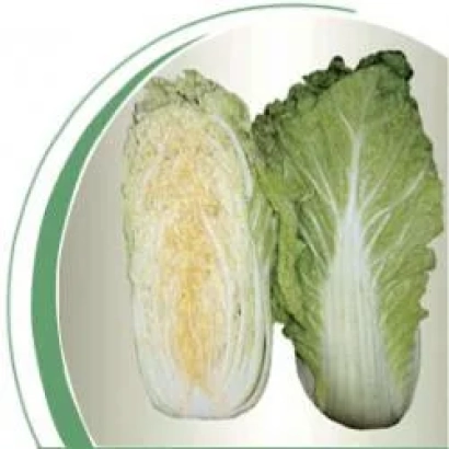 Капуста Сторидо F1 — два кочана, один разрезанный пополам, на белом фоне с зелёной дугой