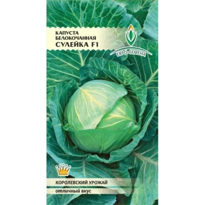 Семена капусты СУЛЕЙКА F1 на фоне листьев