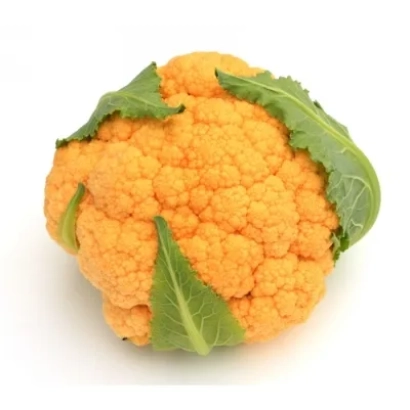 Оранжевая цветная капуста на белом фоне - Сансет