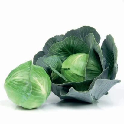 Свежая капуста на белом фоне - СВ 3404 ЖЛ
