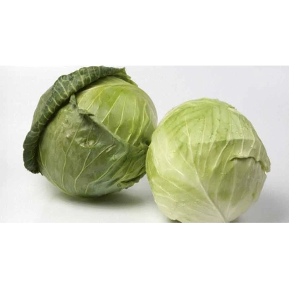 Две головки капусты СВ3336ЖБ на белом фоне