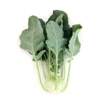 Fresh Terek cabbage on white background