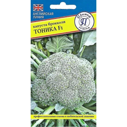 Broccoli seeds TONICA F1