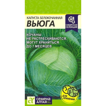 Мешок семян капусты ВЬЮГА