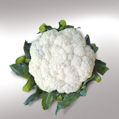 Свежая белокочанная капуста Ванза на белом фоне