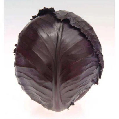 Свежая красная капуста сорта Варна F1
