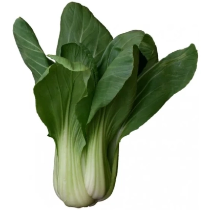 Свежая капуста Веснянка на белом фоне
